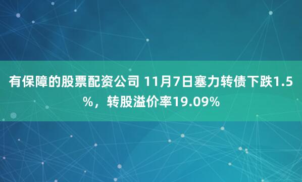 有保障的股票配资公司 11月7日塞力转债下跌1.5%，转股溢价率19.09%